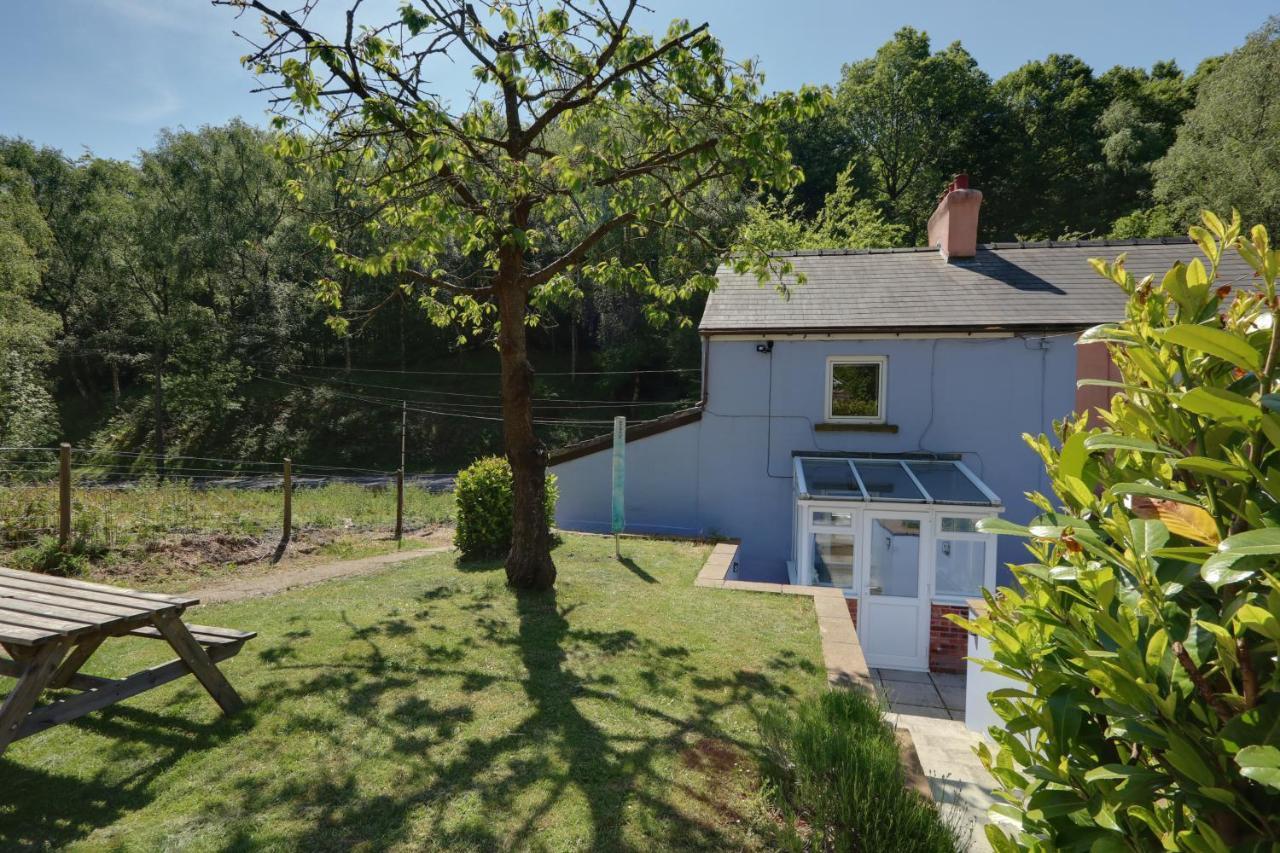 Lilac Cottage Parkend Exterior photo